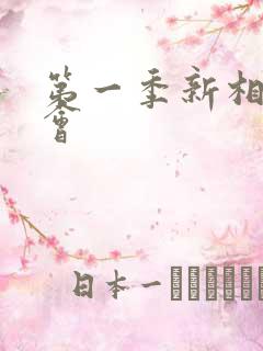 第一季新相亲大会