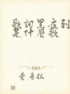 歌词黑夜到白昼是什么歌