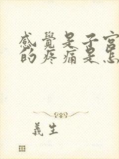 感觉是子宫下坠的疼痛是怎么回事