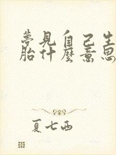 梦见自己生双胞胎什么意思