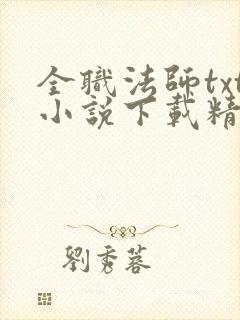 全职法师txt小说下载精校