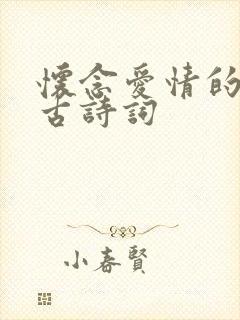 怀念爱情的诗句古诗词