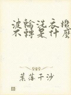 波轮洗衣机脱水不转是什么原因