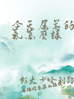 今天属羊的人运气怎么样