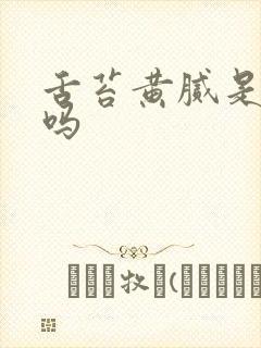 舌苔黄腻是湿热吗