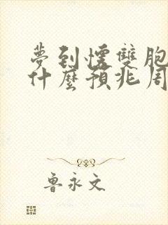 梦到怀双胞胎是什么预兆周公解梦