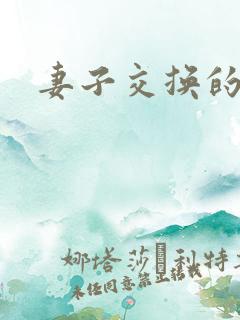 妻子交换的小说