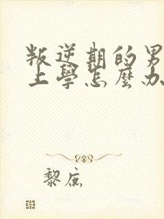 叛逆期的男孩不上学怎么办