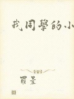 我同学的小爸爸