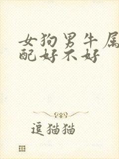 女狗男牛属相婚配好不好