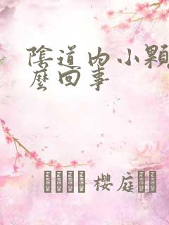 阴道内小颗粒怎么回事