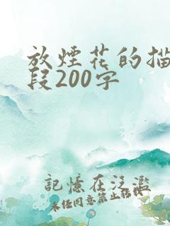 放烟花的描写片段200字