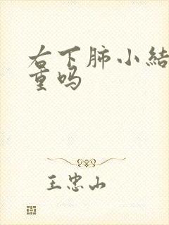 右下肺小结节严重吗