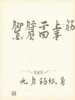 脚脖子上筋疼是怎么回事