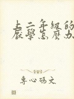 上二年级的孩子厌学怎么办