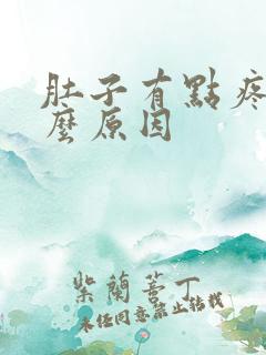 肚子有点疼是什么原因