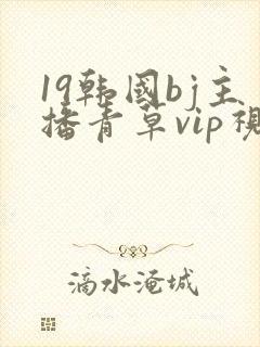 19韩国bj主播青草vip视频