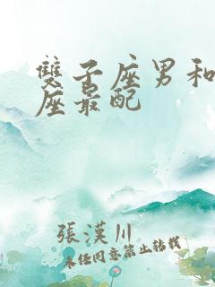 双子座男和啥星座最配