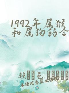 1992年属猴和属狗的合适吗