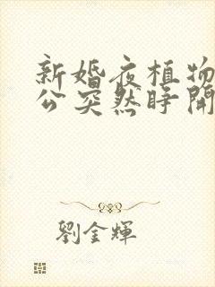 新婚夜植物人老公突然睁开眼 凡雨