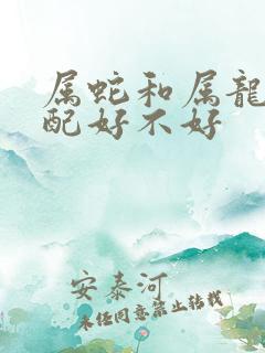 属蛇和属龙的婚配好不好