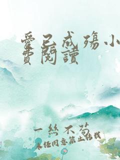 爱已成殇小说免费阅读