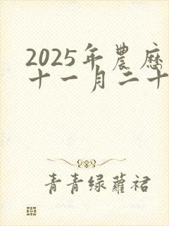 2025年农历十一月二十二是黄道吉日吗