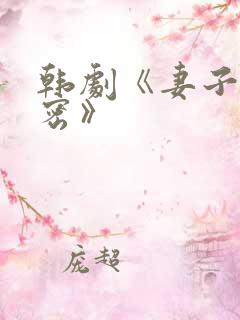 韩剧《妻子的秘密》