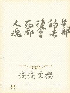 人死后的几天灵魂都会去哪