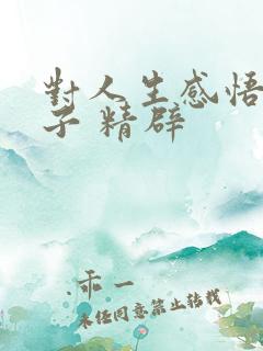 对人生感悟的句子 精辟