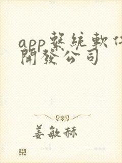 app系统软件开发公司