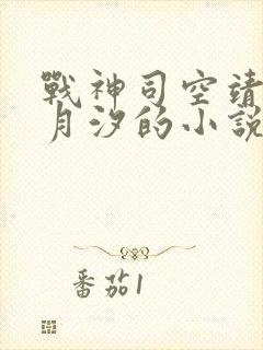 战神司空靖和苏月汐的小说