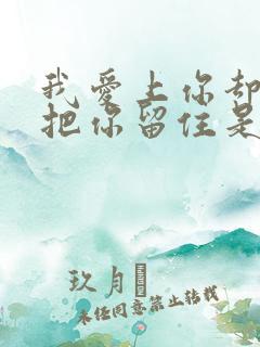 我爱上你却没能把你留住是什么歌