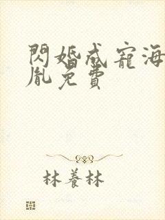 闪婚成宠海彤战胤免费