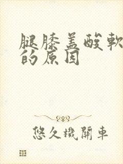 腿膝盖酸软无力的原因