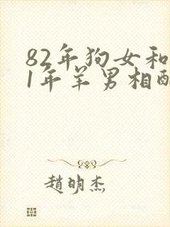 82年狗女和91年羊男相配婚姻如何