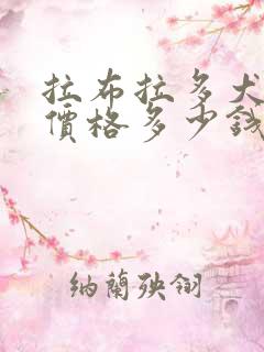 拉布拉多犬纯种价格多少钱一只