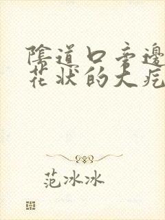 阴道口旁边有菜花状的大疙瘩