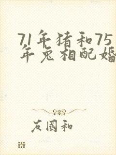 71年猪和75年兔相配婚姻如何