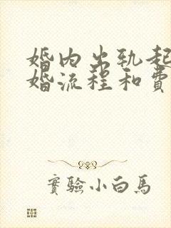 婚内出轨起诉离婚流程和费用