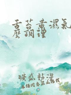舌苔黄湿气重怎么调理