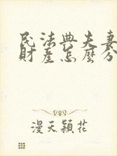 民法典夫妻离婚财产怎么分割