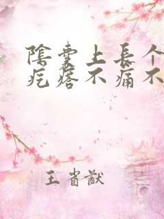 阴囊上长个个硬疙瘩不痛不痒的