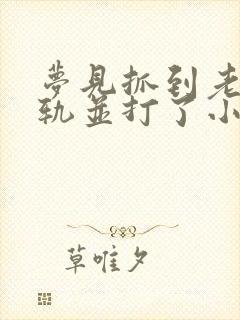 梦见抓到老公出轨并打了小三