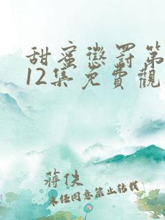 甜蜜惩罚第一季12集免费观看