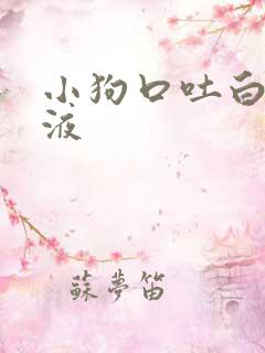 小狗口吐白色粘液