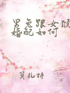 男兔跟女猴属相婚配如何