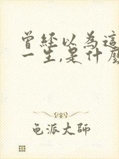 曾经以为这样过一生,是什么歌