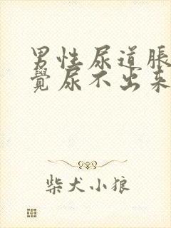 男性尿道胀痛感觉尿不出来吃什么药