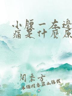 小腹一左边阵阵痛是什么原因